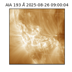 saia - 2025-08-26T09:00:04.843000