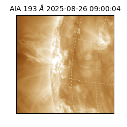 saia - 2025-08-26T09:00:04.843000