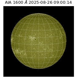 saia - 2025-08-26T09:00:14.125000