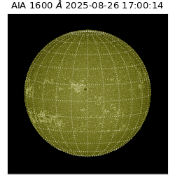 saia - 2025-08-26T17:00:14.126000