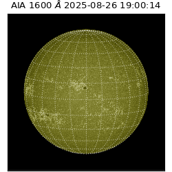 saia - 2025-08-26T19:00:14.126000