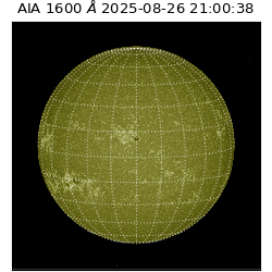 saia - 2025-08-26T21:00:38.126000