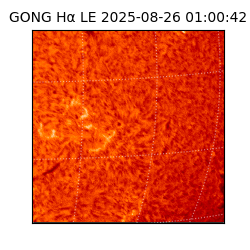 gong - 2025-08-26T01:00:42