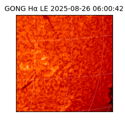 gong - 2025-08-26T06:00:42