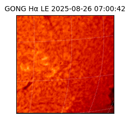 gong - 2025-08-26T07:00:42