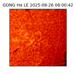 gong - 2025-08-26T08:00:42