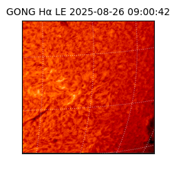 gong - 2025-08-26T09:00:42