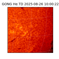 gong - 2025-08-26T10:00:22