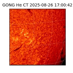 gong - 2025-08-26T17:00:42