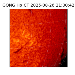gong - 2025-08-26T21:00:42