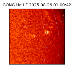 gong - 2025-08-26T01:00:42