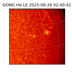 gong - 2025-08-26T02:00:42