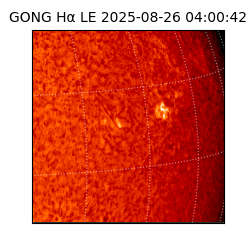 gong - 2025-08-26T04:00:42
