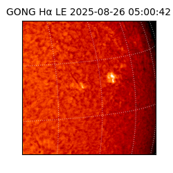 gong - 2025-08-26T05:00:42