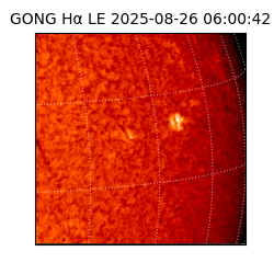 gong - 2025-08-26T06:00:42