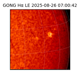 gong - 2025-08-26T07:00:42
