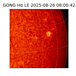 gong - 2025-08-26T08:00:42