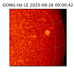 gong - 2025-08-26T09:00:42