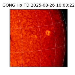gong - 2025-08-26T10:00:22