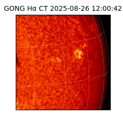 gong - 2025-08-26T12:00:42
