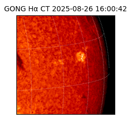 gong - 2025-08-26T16:00:42