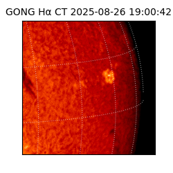 gong - 2025-08-26T19:00:42