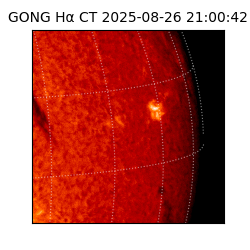 gong - 2025-08-26T21:00:42