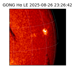 gong - 2025-08-26T23:26:42
