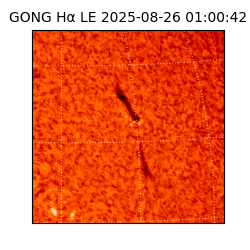 gong - 2025-08-26T01:00:42