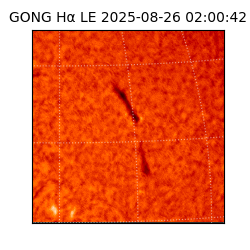 gong - 2025-08-26T02:00:42