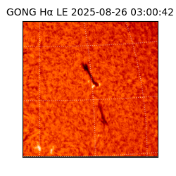 gong - 2025-08-26T03:00:42
