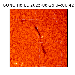 gong - 2025-08-26T04:00:42