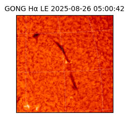 gong - 2025-08-26T05:00:42