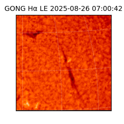 gong - 2025-08-26T07:00:42