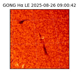gong - 2025-08-26T09:00:42