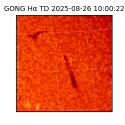 gong - 2025-08-26T10:00:22