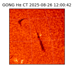 gong - 2025-08-26T12:00:42