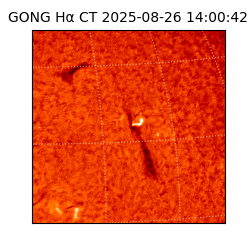 gong - 2025-08-26T14:00:42