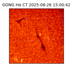 gong - 2025-08-26T15:00:42