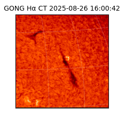 gong - 2025-08-26T16:00:42