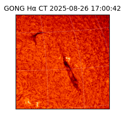 gong - 2025-08-26T17:00:42