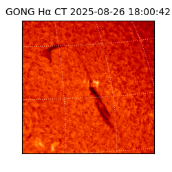 gong - 2025-08-26T18:00:42