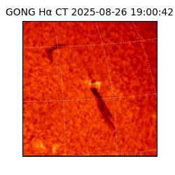 gong - 2025-08-26T19:00:42