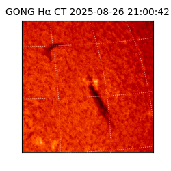 gong - 2025-08-26T21:00:42