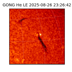 gong - 2025-08-26T23:26:42