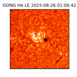 gong - 2025-08-26T01:00:42