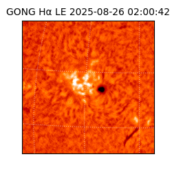 gong - 2025-08-26T02:00:42