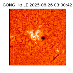 gong - 2025-08-26T03:00:42