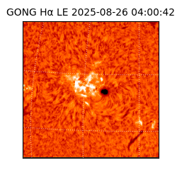 gong - 2025-08-26T04:00:42