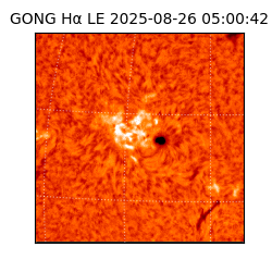 gong - 2025-08-26T05:00:42